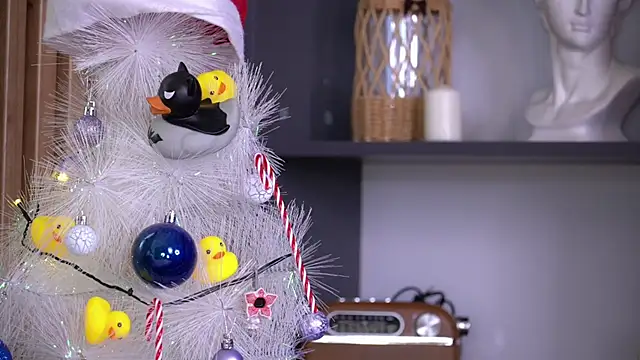 PollyBeev online show from November 23, 2025, 7:29 am