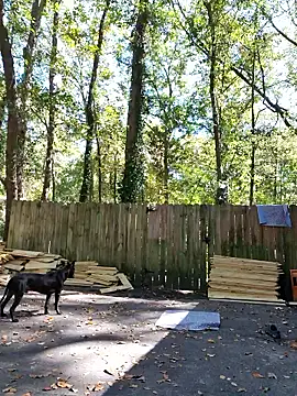 Buffshagswell online show from October 21, 2025, 4:06 pm