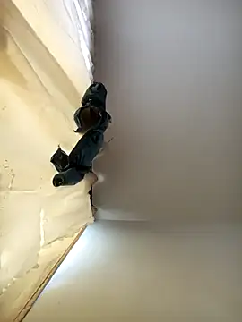 Snapshot of Dilan_1994 chatting on November 21, 2025, 3:11 pm Dilan 1994 online show from November 21, 2025, 3:11 pm