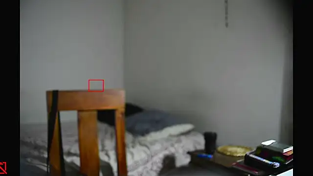 villanocat online show from February 11, 2025, 8:05 am