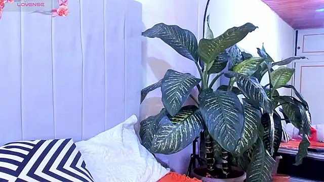 Snapshot of Mindy_sweety chatting on March 6, 2025, 7:54 pm Mindy sweety online show from March 6, 2025, 7:54 pm