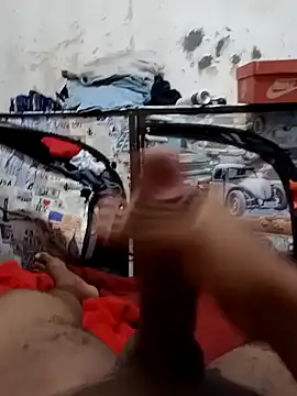 kaua rola de mel online show from December 9, 2024, 4:01 am