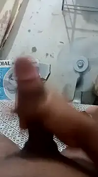 kaua rola de mel online show from January 31, 2025, 4:47 am