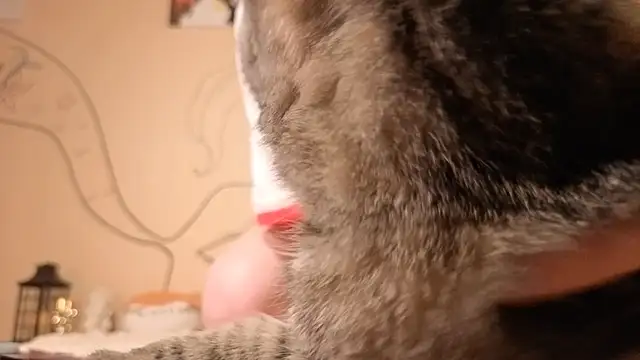 Snapshot of such_juicee chatting on April 5, 2026, 7:20 pm such juicee online show from April 5, 2026, 7:20 pm