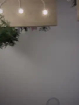 Aryrosee online show from September 12, 2025, 11:59 pm