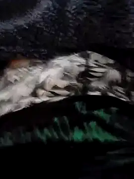 PulaMaresiexcitata12 online show from January 19, 2025, 10:06 am