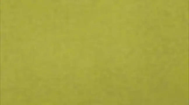 Snapshot of AnneGagner chatting on March 9, 2025, 6:32 pm AnneGagner online show from March 9, 2025, 6:32 pm