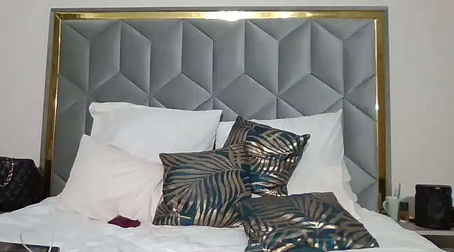 Snapshot of PuddingHotPot chatting on March 4, 2025, 10:27 pm PuddingHotPot online show from March 4, 2025, 10:27 pm