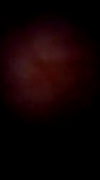 garchapatagonica online show from December 23, 2024, 4:44 am