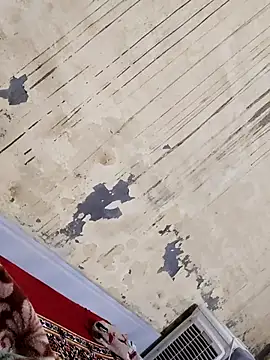 neena online show from November 26, 2025, 4:51 pm