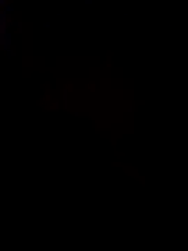 pornstarbrezillian online show from November 24, 2025, 8:25 am