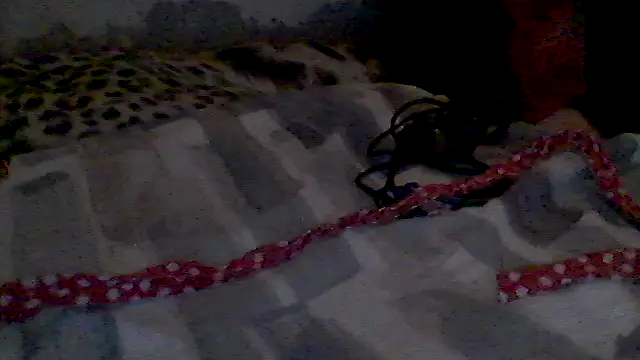 pornstarbrezillian online show from October 7, 2025, 12:17 pm