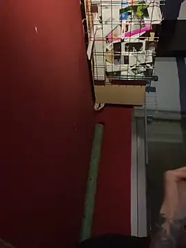 chavito2223 online show from February 10, 2026, 4:11 am