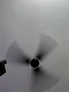 Tamilrojanew online show from October 11, 2025, 8:26 am