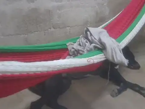 tripexnte online show from February 16, 2025, 11:28 pm