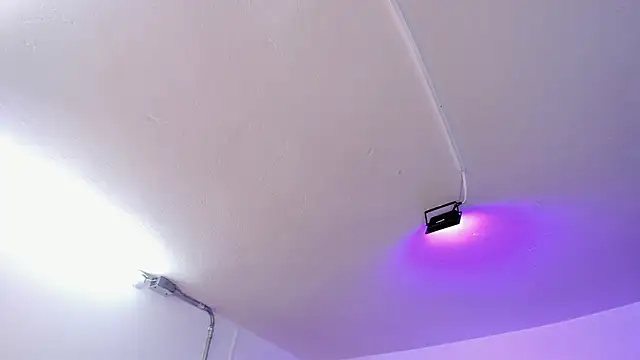 Amy Kiitty  online show from February 15, 2026, 12:59 pm