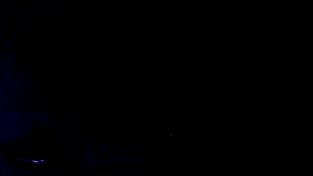 Youcunn online show from April 15, 2026, 9:15 am