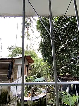Jestebanano online show from May 4, 2026, 4:54 pm