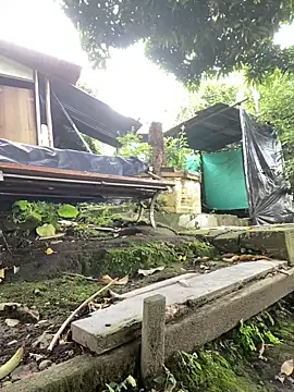 Jestebanano online show from October 2, 2025, 12:41 pm