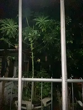 Jestebanano online show from September 18, 2025, 12:57 am