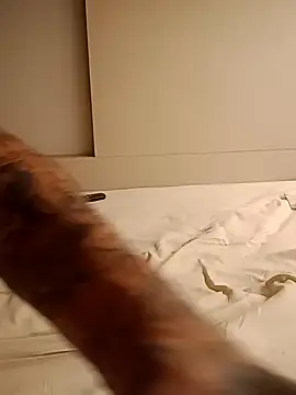 Snapshot of rolesexy chatting on January 19, 2025, 2:47 am rolesexy online show from January 19, 2025, 2:47 am