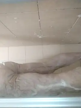 Elladomasobscuro1 online show from December 19, 2025, 2:41 pm