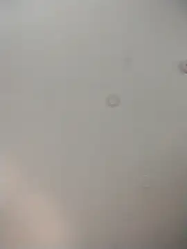 geilerschwanz64 online show from December 1, 2025, 9:10 am