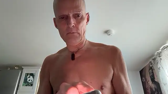 TowaFreespirit online show from April 14, 2026, 4:34 pm