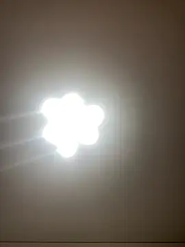 Snapshot of Janet_Welder chatting on May 8, 2026, 8:23 pm Janet Welder online show from May 8, 2026, 8:23 pm