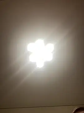 Snapshot of Janet_Welder chatting on June 26, 2026, 8:25 pm Janet Welder online show from June 26, 2026, 8:25 pm