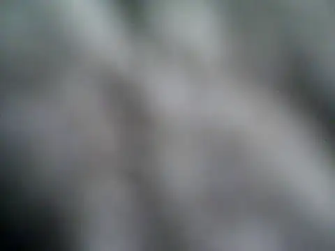 Snapshot of rootsf chatting on November 3, 2025, 3:23 am rootsf online show from November 3, 2025, 3:23 am