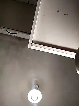 Bellatriz-horse online show from February 8, 2026, 5:27 am