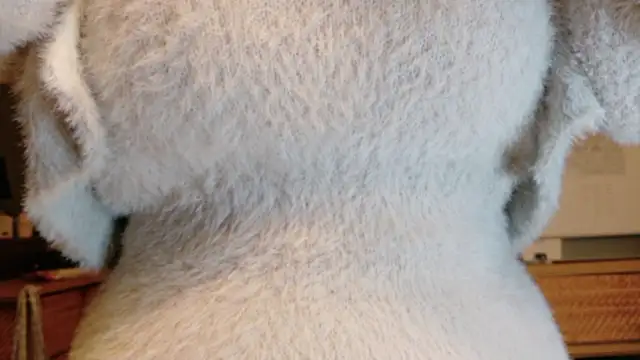  Yui  online show from October 18, 2025, 2:08 pm