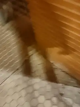 Satiro Sevilla online show from February 17, 2025, 7:33 pm