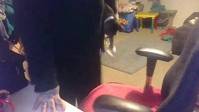 Snapshot of peachy-paige chatting on January 8, 2025, 9:55 pm peachy-paige online show from January 8, 2025, 9:55 pm