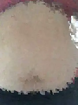 ahross online show from April 8, 2026, 9:33 am