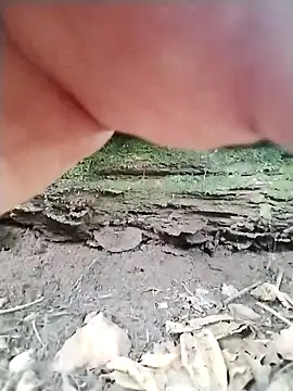 Blacklicious777 online show from November 10, 2025, 4:45 pm