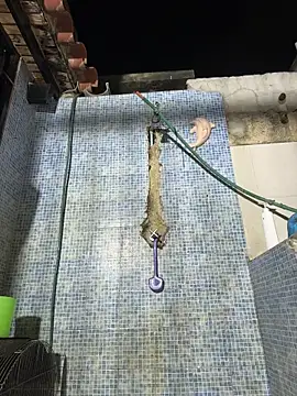 Leo bunny hot online show from December 15, 2025, 6:19 am