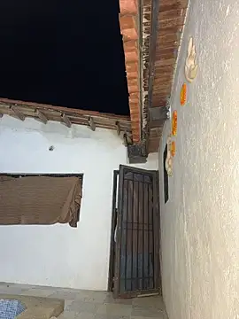 Leo bunny hot online show from April 22, 2026, 3:24 am