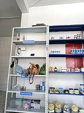 Snapshot of Megan_jennerr chatting on September 28, 2025, 2:35 pm Megan jennerr online show from September 28, 2025, 2:35 pm