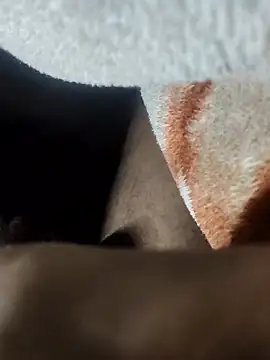 Snapshot of Kolkataboiy chatting on January 11, 2026, 7:54 pm Kolkataboiy online show from January 11, 2026, 7:54 pm