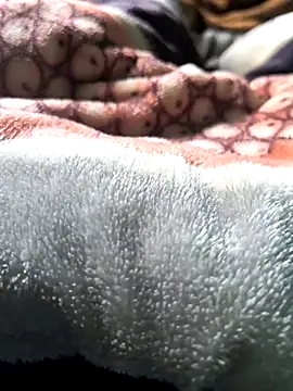 Snapshot of paudeliciosoo chatting on October 31, 2025, 5:31 pm paudeliciosoo online show from October 31, 2025, 5:31 pm