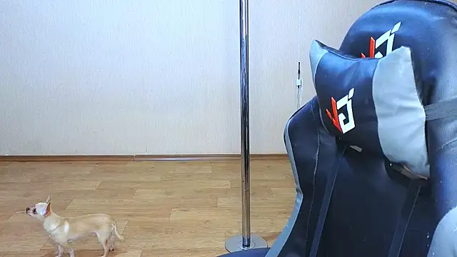 doll barbieee online show from March 9, 2025, 5:06 pm