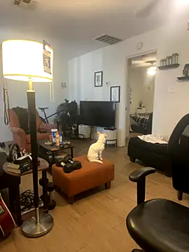 Snapshot of PEGATIVET chatting on September 29, 2025, 9:20 pm PEGATIVET online show from September 29, 2025, 9:20 pm