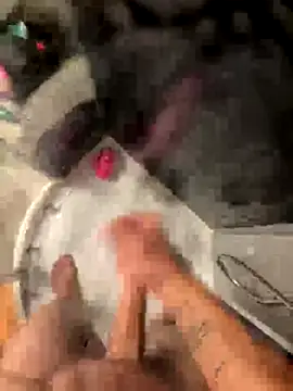 lescro95  online show from October 4, 2025, 5:47 pm