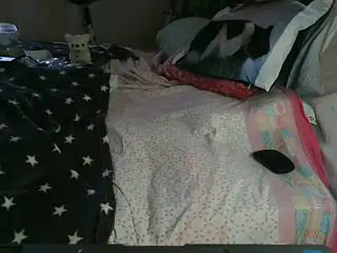 VeneRed online show from March 26, 2026, 11:08 am