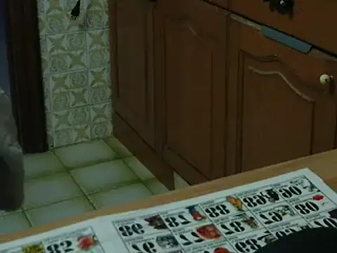 VeneRed online show from November 16, 2025, 5:28 pm