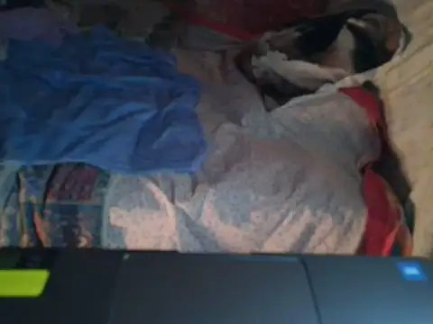 VeneRed online show from January 17, 2026, 6:55 pm