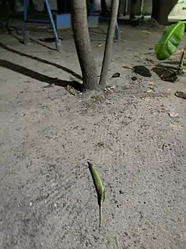 Erick-90 online show from February 21, 2026, 6:26 am