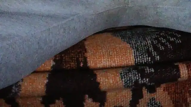 loverboyxxx69 online show from March 19, 2026, 3:28 am